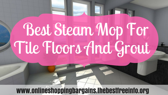 Best Steam Mop For Tile Floors And Grout