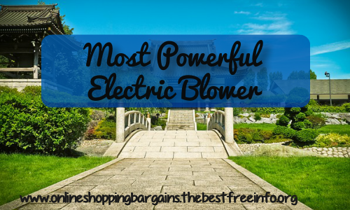 Most Powerful Electric Blower